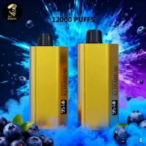Disposable nicotine vape Alibarbar TEQ -Blueberry Blast