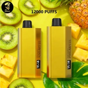 Alibarbar TEQ 12000 Puffs-Kiwi Pineapple - Vapes Australia | Disposable Vapes shop | ✅Vape store