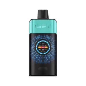 IGET ONE - MOUNTAIN SPRING MINT ICE 12,000 PUFFS