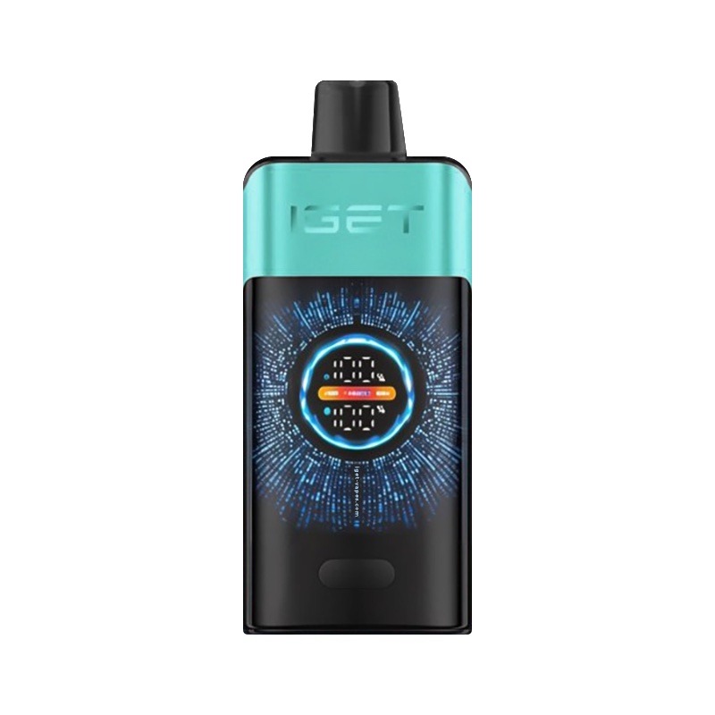 IGET ONE - MOUNTAIN SPRING MINT ICE 12,000 PUFFS